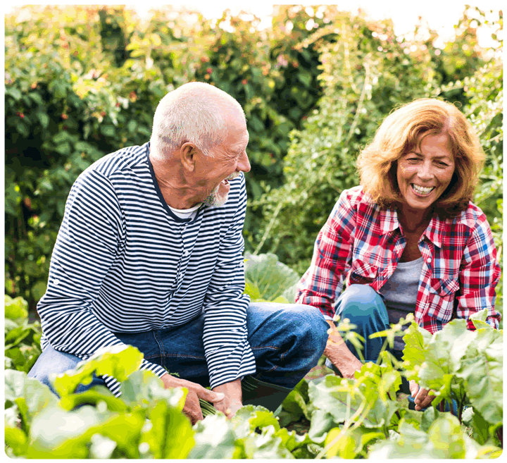 Seniors and Wellness Enthusiasts